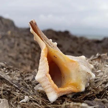 Apartamento Frosos Beachfront Maisonette Acharavi