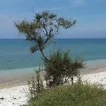 公寓 Frosos Beachfront Maisonette Acharavi *